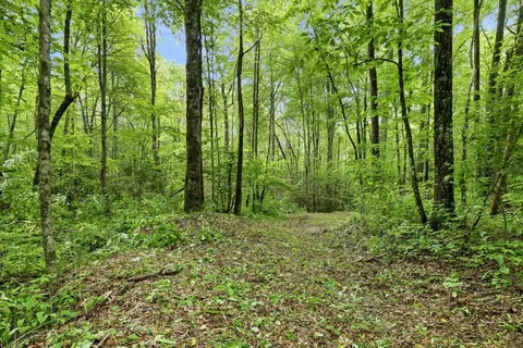lot2 Rainbow Falls Rd, Franklin, NC 28734 photo 8