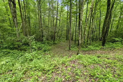 lot2 Rainbow Falls Rd, Franklin, NC 28734 photo 6