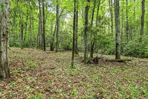 lot2 Rainbow Falls Rd, Franklin, NC 28734 photo 10