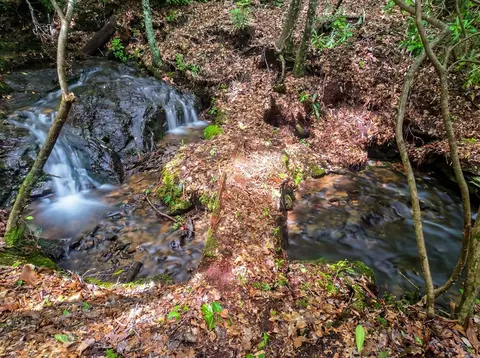 lot2 Rainbow Falls Rd, Franklin, NC 28734 photo 24