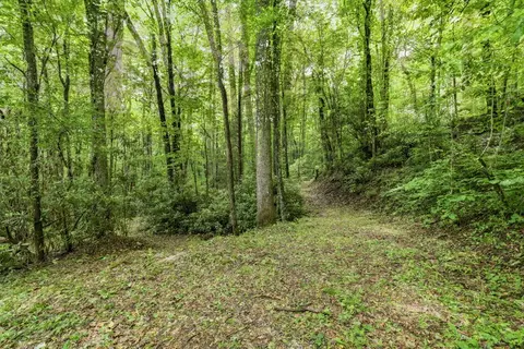 lot2 Rainbow Falls Rd, Franklin, NC 28734 photo 9