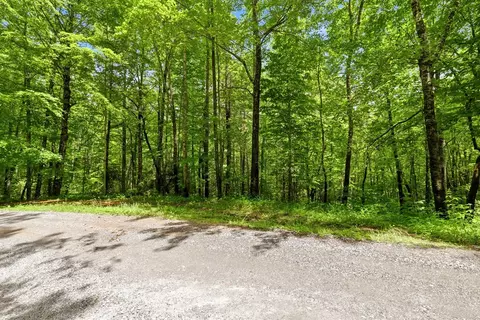 lot2 Rainbow Falls Rd, Franklin, NC 28734 photo 5