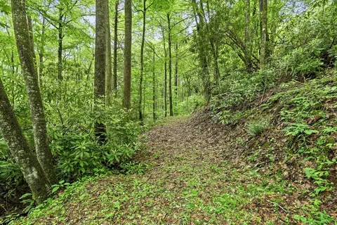 lot2 Rainbow Falls Rd, Franklin, NC 28734 photo 12