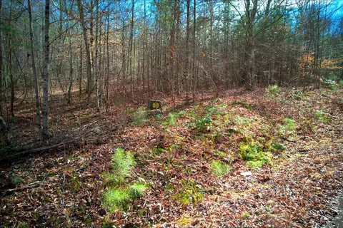 lot52 Panda Ln, Murphy, NC 28906 photo 3
