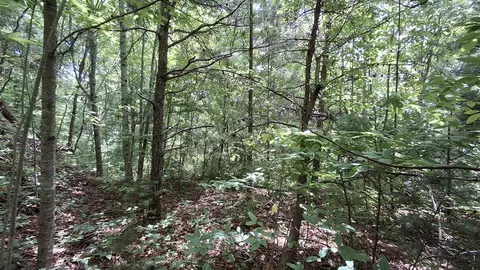 112 Kako Rdg, Sylva, NC 28779 photo 17