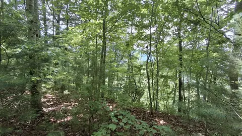 112 Kako Rdg, Sylva, NC 28779 photo 14