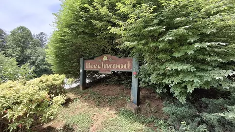 112 Kako Rdg, Sylva, NC 28779 photo 5