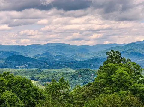 1680 Williamson Rd, Whittier, NC 28789