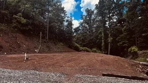 90 Cline Branch Rd, Bryson City, NC 28713