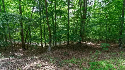 00 Castleman Rd, Franklin, NC 28734
