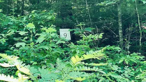 lot9 River Road Trce, Franklin, NC 27516