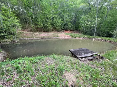 View/Area - 930 Copperhead Cv, Sylva, NC 28779 photo 2 of 2