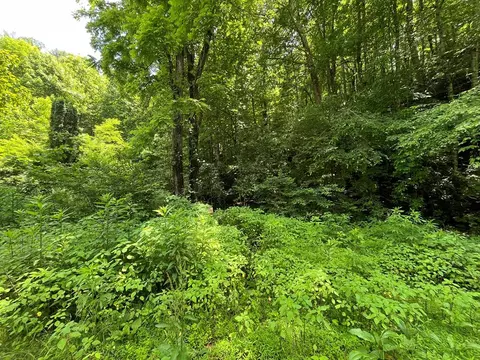 00 Mincey Rd, Franklin, NC 28734
