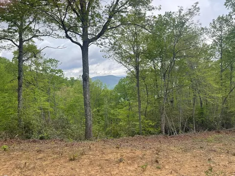700 Copperhead Cv, Sylva, NC 28779 photo 15