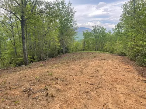 700 Copperhead Cv, Sylva, NC 28779 photo 19