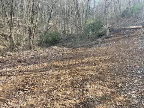 700 Copperhead Cv, Sylva, NC 28779 photo 9