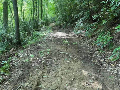 700 Copperhead Cv, Sylva, NC 28779 photo 13