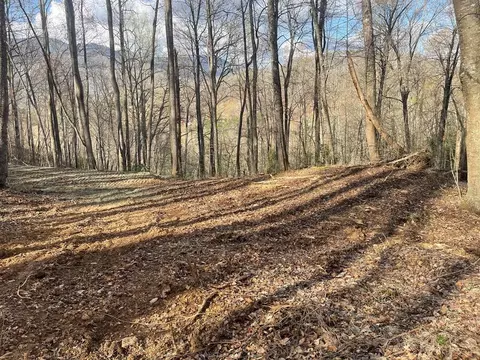 700 Copperhead Cv, Sylva, NC 28779 photo 6