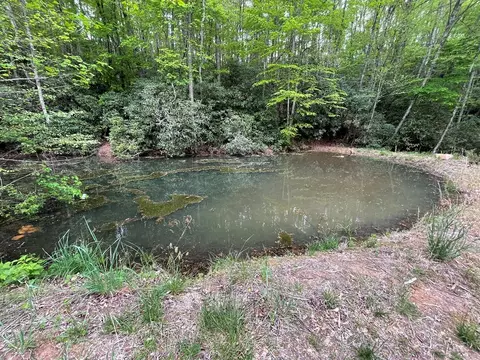 700 Copperhead Cv, Sylva, NC 28779 photo 18