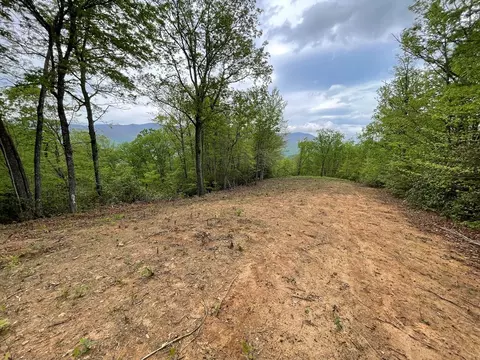 700 Copperhead Cv, Sylva, NC 28779 photo 4