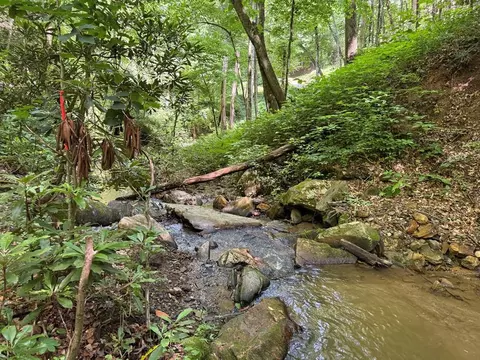 700 Copperhead Cv, Sylva, NC 28779