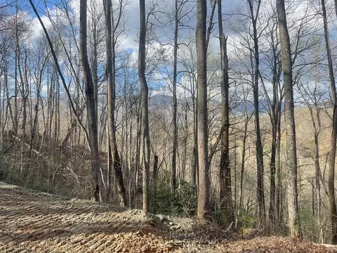 700 Copperhead Cv, Sylva, NC 28779 photo 5