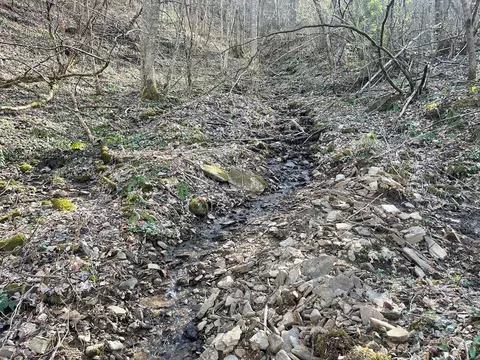 700 Copperhead Cv, Sylva, NC 28779 photo 8