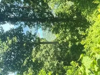lot70 Fontana Trace Dr, Almond, NC 28702