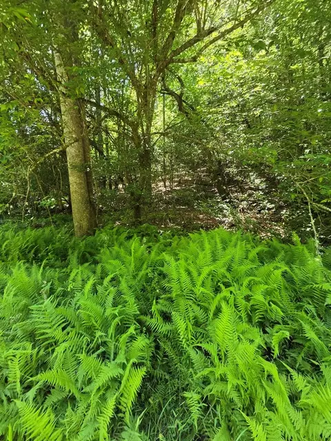 1 Lot 1 Matlock Hls, Franklin, NC 28734