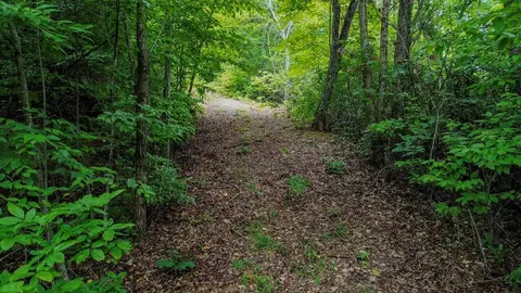 00 Spring Mountain Cir, Franklin, NC 28734