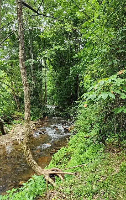 tbd Dark Ridge Rd, Sylva, NC 28779