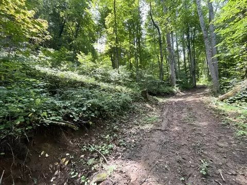 618 Dark Ridge Rd, Sylva, NC 28779 photo 28