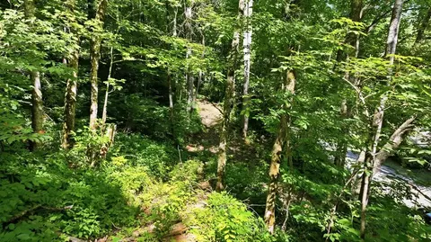 618 Dark Ridge Rd, Sylva, NC 28779 photo 12