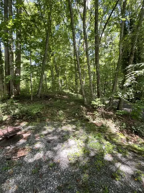 618 Dark Ridge Rd, Sylva, NC 28779 photo 29