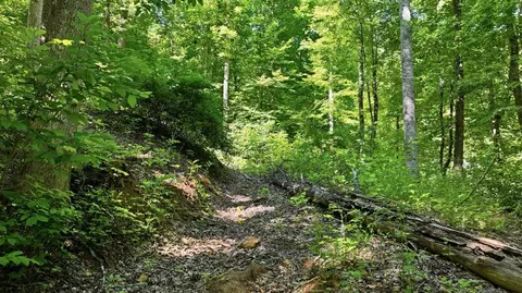 618 Dark Ridge Rd, Sylva, NC 28779 photo 14