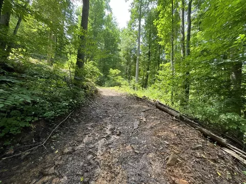 618 Dark Ridge Rd, Sylva, NC 28779 photo 22