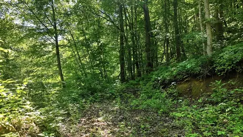618 Dark Ridge Rd, Sylva, NC 28779 photo 10
