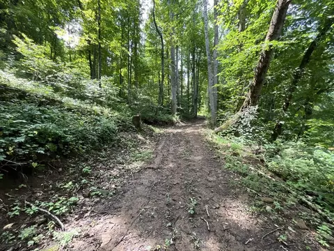 618 Dark Ridge Rd, Sylva, NC 28779 photo 24