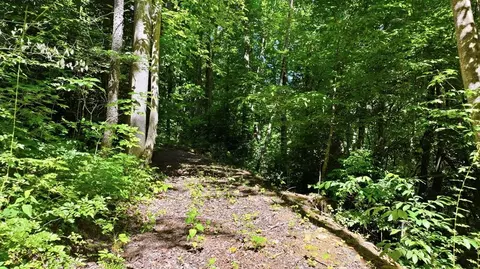 618 Dark Ridge Rd, Sylva, NC 28779 photo 13