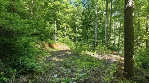 618 Dark Ridge Rd, Sylva, NC 28779 photo 18