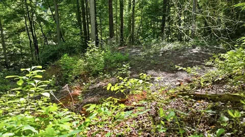 618 Dark Ridge Rd, Sylva, NC 28779 photo 16
