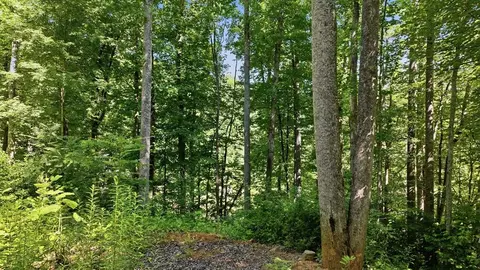 618 Dark Ridge Rd, Sylva, NC 28779 photo 19