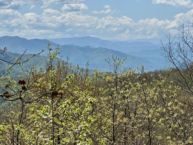 00 Aquina Mtn, Maggie Valley, NC 28751