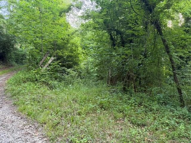 00 Heavenly View Dr, Sylva, NC 28779