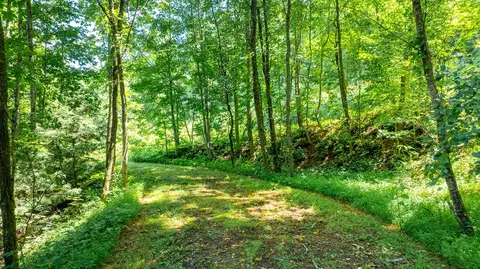 lot14 Mane Loop Rd, Franklin, NC 28734 photo 14