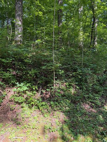 19 Parker Farms, Franklin, NC 28734
