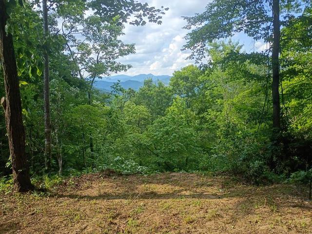 lot15 Natures Edge Rd, Franklin, NC 28734