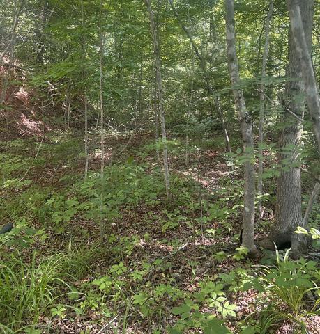2420 Balltown Rd, Bryson City, NC 28713