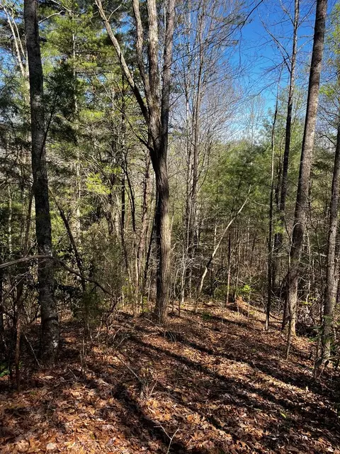 00 Leon Barron Rd, Sylva, NC 28779 photo 8