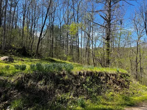 00 Leon Barron Rd, Sylva, NC 28779 photo 3